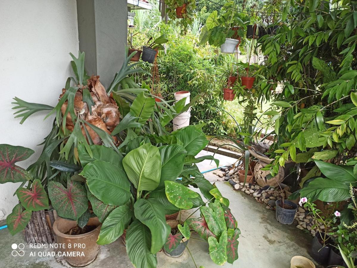 Bdr Bukit Tinggi Klang Tropicana Garden Homestay מראה חיצוני תמונה